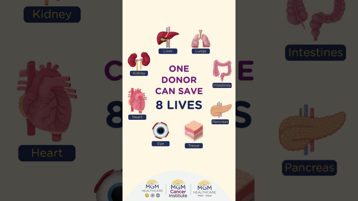 World organ donation day