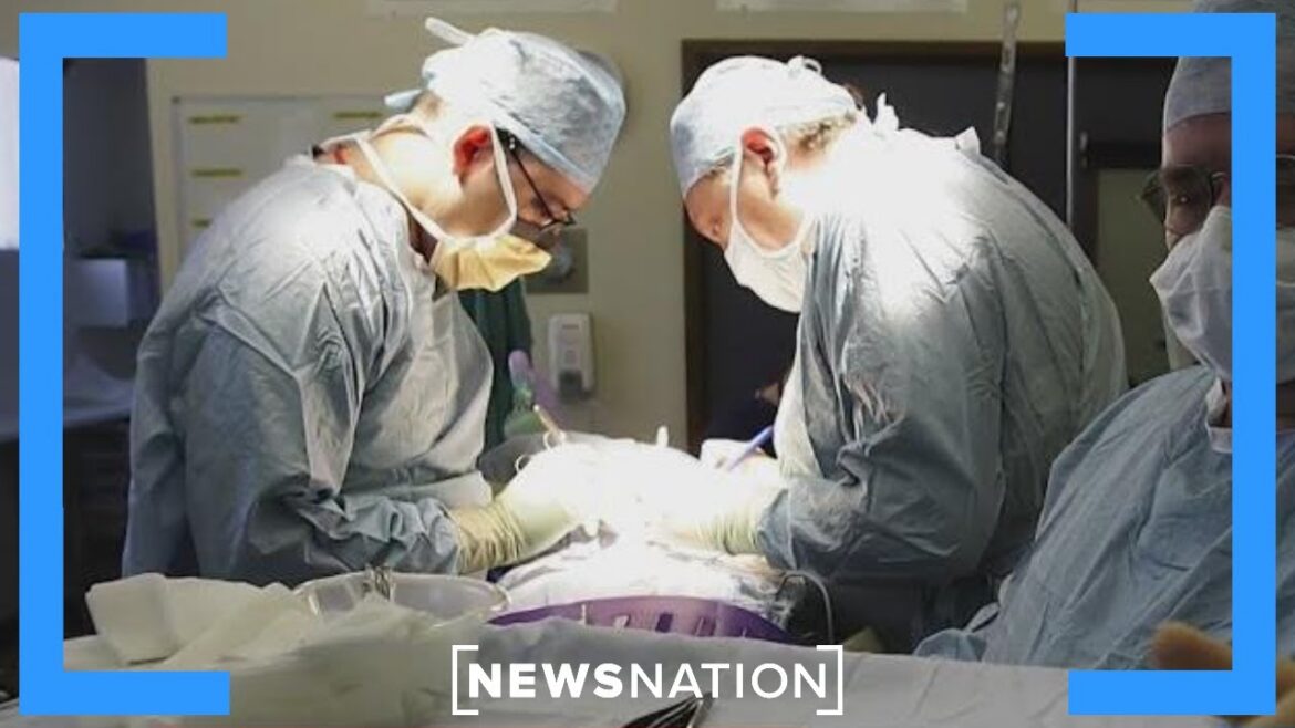'disturbing' organ donation practices spur federal reform | morning in