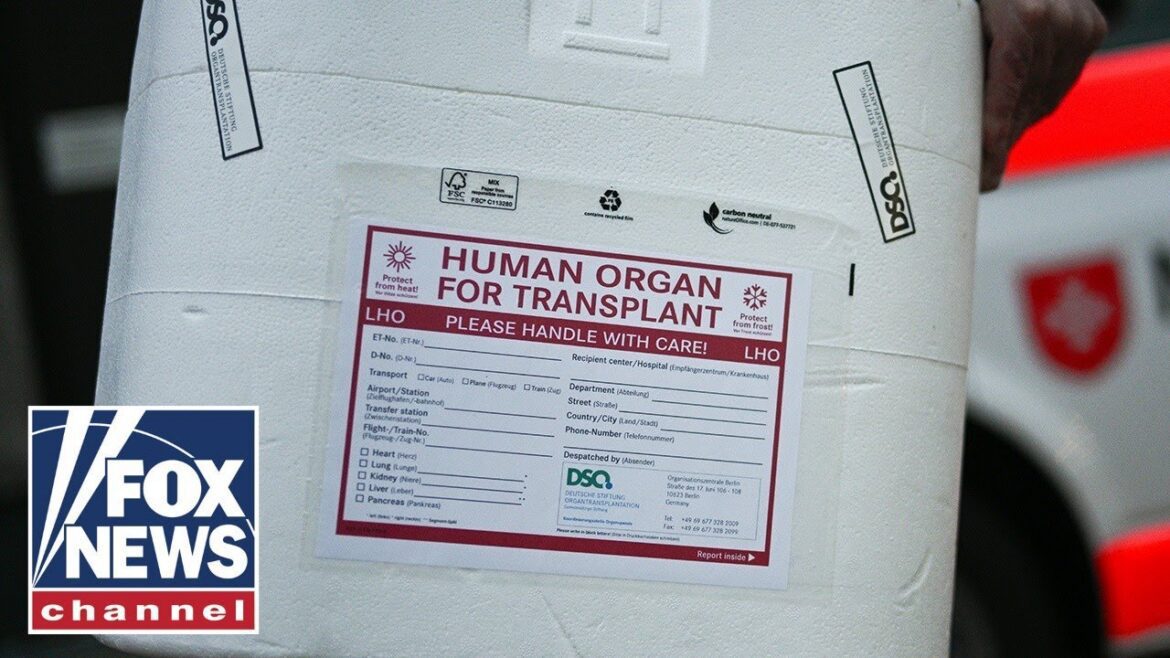 'horrifying': mishandled organ donations triggers call for reform