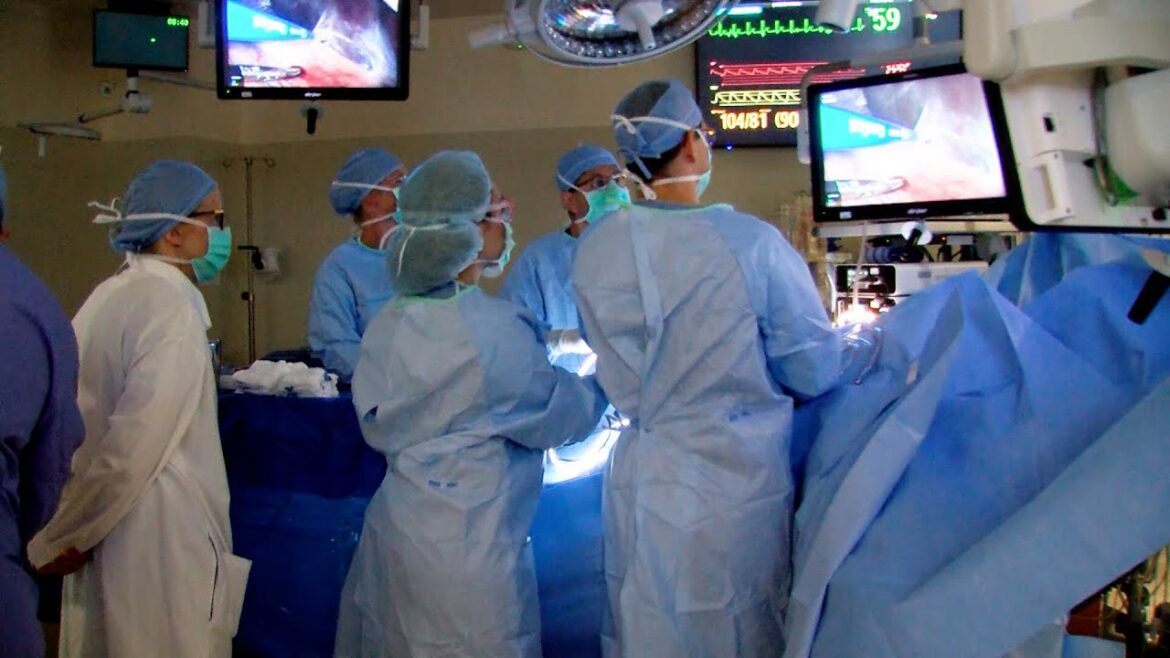 Mayo clinic minute saving lives through organ donation