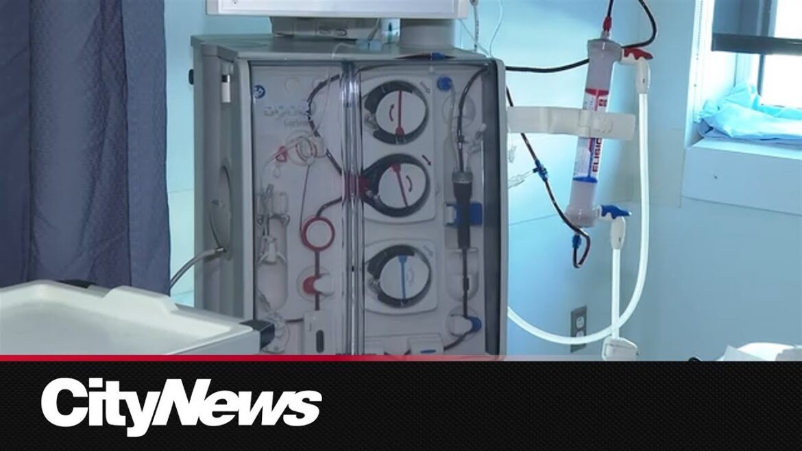 Organ donation awareness week: quebecers share hope