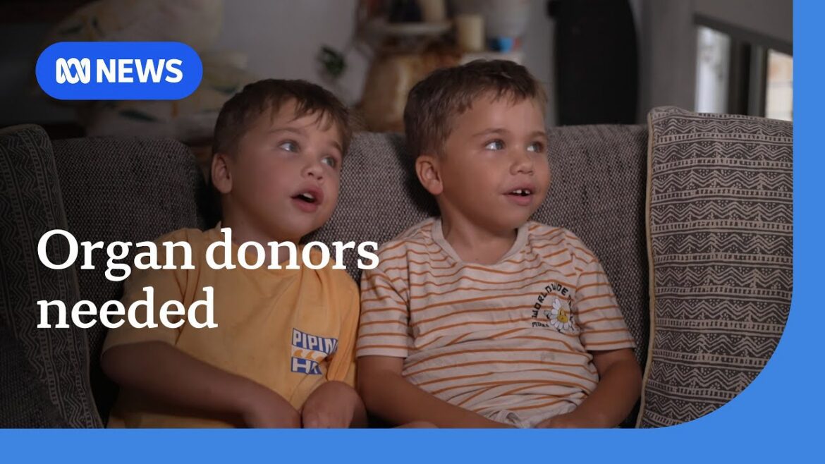 Organ donors on the rise, but fewer australians receiving life saving