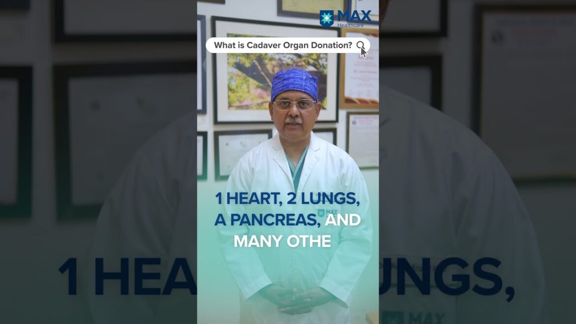 What is cadaver organ donation?